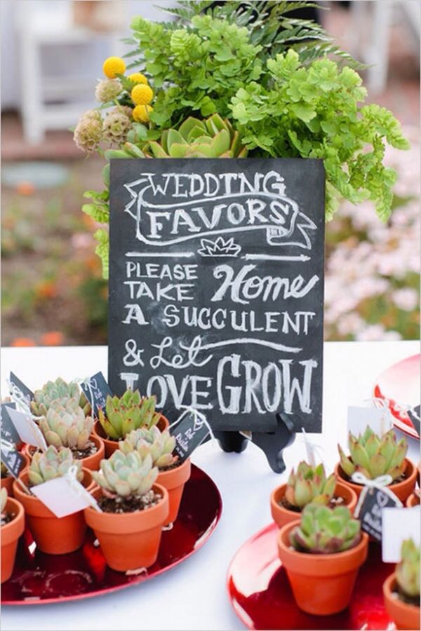 succulent-plants-eco-friendly-weddings
