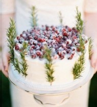 Blueberry Topped Cake 