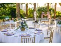 Wedding Planners - Palmera Design & Events