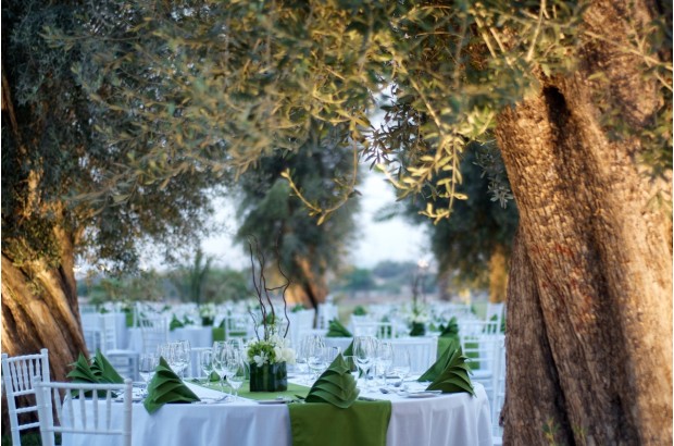 UAE Wedding Venues - Desert Palm Dubai 