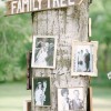Framed Family Tree Photos 