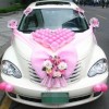 Pink Tulle Wedding Car 