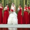 Red  Bridesmaid Dresses