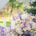 Lilac & Purple Flowers