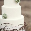 Succulent & Twig Cake 