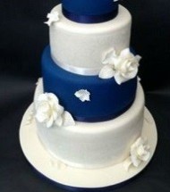 Blue & White Cake 