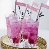 Lavender Cocktails 