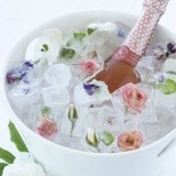 Lilac Ice Cubes 