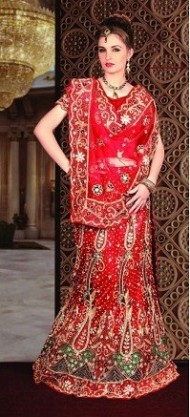 Red Sari 