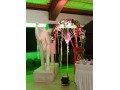 International Wedding Venues - Radisson Blu Resort Temple Bay